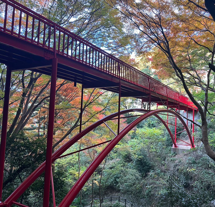 枚岡公園　豊浦橋　塗装塗替工事