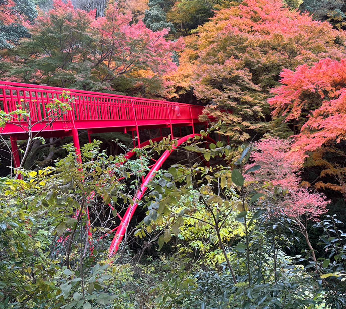 枚岡公園　豊浦橋　塗装塗替工事