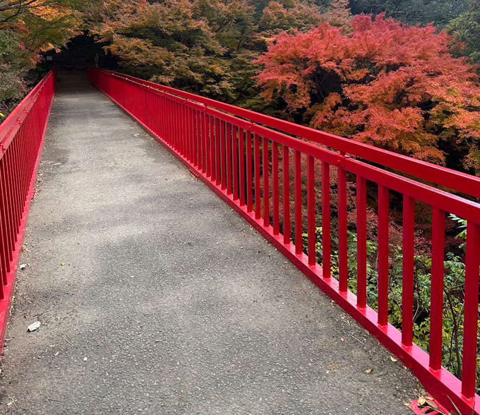 枚岡公園　豊浦橋　塗装塗替工事